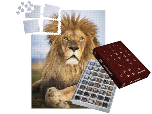 puzzleYOU: Puzzle-Adventskalender | „Wilde Löwen in Südafrika“ – aus der Puzzle-Kollektion Löwen, Raubtiere, Tiere in Savanne & Wüste puzzleYOU: Puzzle-Adventskalender | „Wilde Löwen in Südafrika“ – aus der Puzzle-Kollektion Löwen, Raubtiere, Tiere in Savanne & Wüste von puzzleYOU