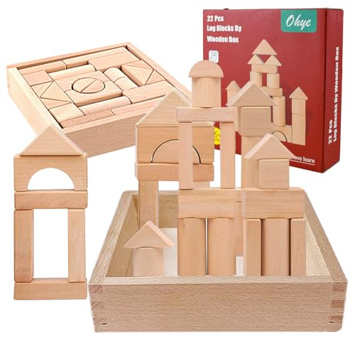 qimeyu Bausteine Holz,Holzspielzeug,Bastelklötzchen Holz,Holzbausteine Set zum Lernspielzeug,22 Stück Bausteine zum Stapeln für Kinder 3 4 5 6 Jahren von qimeyu