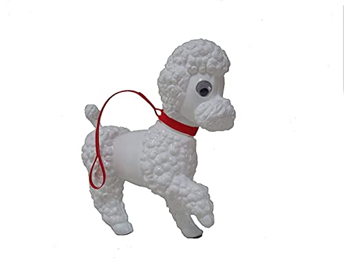 Pudel Flocky, weiß Pudel Flocky, weiß von reifra