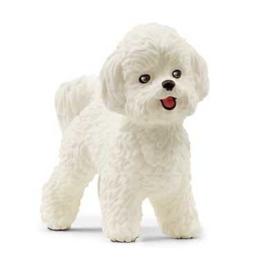 schleich® Bichon Frisé 13963 von schleich®