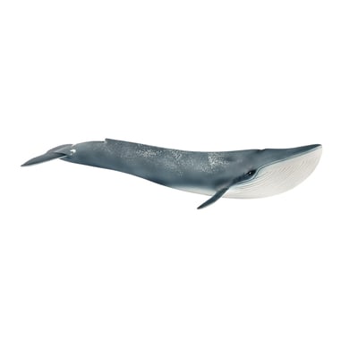 schleich® Blauwal 14806 von schleich®