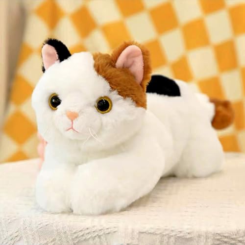 shownicer Plüschtier Katze Kuscheltier Stofftier Kawaii Katze Plüsch Kissen Spielzeug Kätzchen Plüsch Wurfkissen Geschenk für Kinder Mädchen 3+ Jahre (Weiß, 45cm) von shownicer