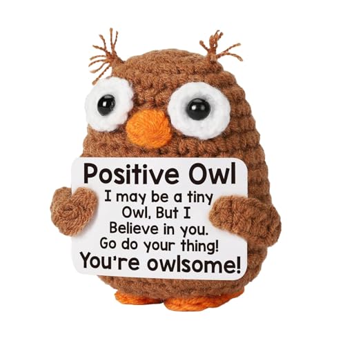 skyrabbiter Lustiger Positive Owl Plush Desk Decor, Brown Crochet Knit, 8cm x 6cm, Motivational Message, Hug Geschenke Beste Freundin Geschenke für Freundin Kleine Geschenke für Frauen (A) von skyrabbiter