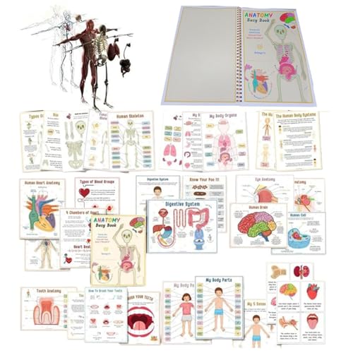 Buch für die menschliche Anatomie, interaktives Anatomie-Buch für Kinder, für die menschliche Körperanatomie, beschäftigtes Buch für Kinder, Vorschule, interaktives Anatomie-Buch für Kinder im Alter von szaluyk