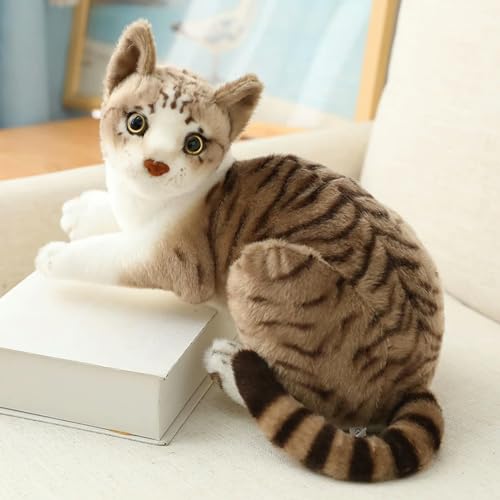 tYuNBd Katze Plüschtiere Plüschtiere Kawaii Katzenpuppen Kinderspielzeug Geburtstag Weihnachten Geschenkdekoration 20cm 1 von tYuNBd