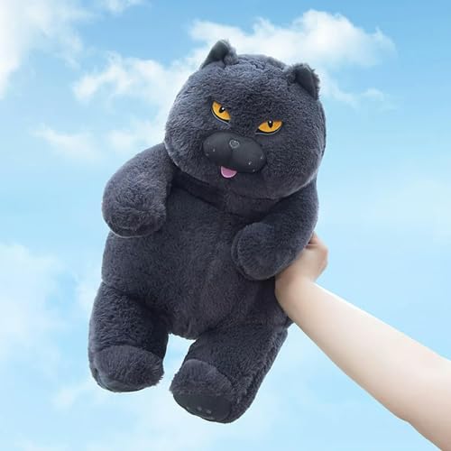 tYuNBd Kawaii Katze Plüschtier Plüschpuppe Plüschtier Kinder Geburtstagsgeschenk 30cm 3 von tYuNBd