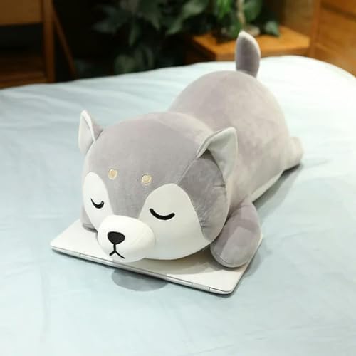 tYuNBd Niedliche Husky Shiba Inu Corgi Plüschtier Plüsch Tier Hund Kissen Kinder Mädchen Kawaii Geschenk Geburtstagsgeschenk 50cm 3 von tYuNBd