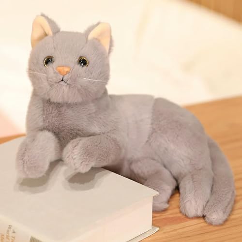 tYuNBd Niedliche Katze Plüsch Spielzeug Cartoon Plüsch Tier Katze Plüsch Puppe Kinder Spielzeug Mädchen Kawaii Raum Dekoration Geburtstag 30CM 2 von tYuNBd