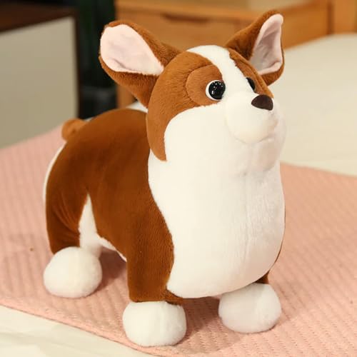 tYuNBd Niedliche lebensechte mollige Corgi Plüschtier Plüsch Welpen Plüsch Puppe weiches Kissen für Mädchen Geschenk Geburtstag 45cm 1 von tYuNBd