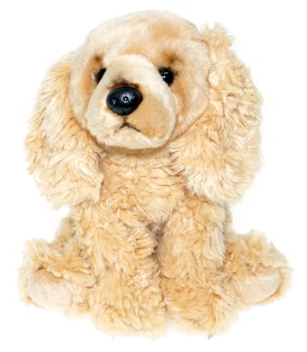 tachi Plüschtier Hund, Kuscheltier Hündchen Cocker Spaniel beige, Stofftier sitzend 28 cm von tachi