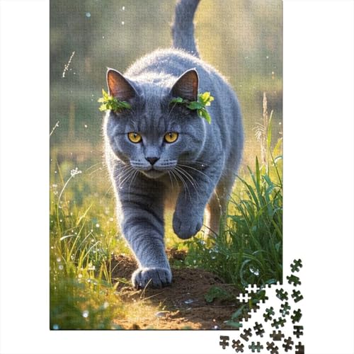 Kartäuserkatze Puzzle 1000 Teile Schwer Puzzle Spielzeug Pädagogisches Spiel Impossible Herausforderungsspielzeug Für Erwachsene Und Kinder in Bewährter 1000pcs (75x50cm) von tanpiaoliang