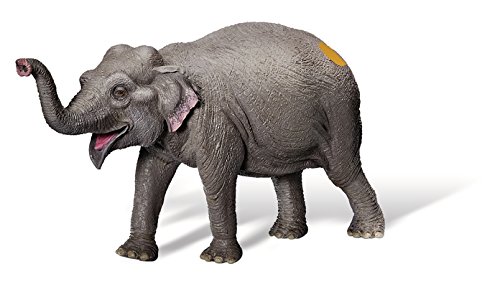 tiptoi® Asiatischer Elefant von Ravensburger