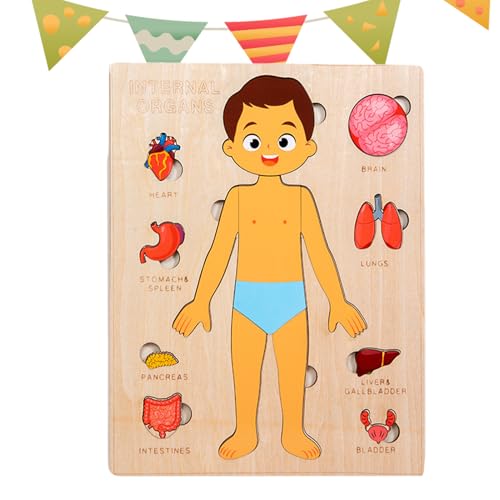 usefulbeauty Der Menschliche Körper Für Kinder | Pädagogisches Holz Puzzle Vom Menschlichen Körper,Wissenschaftliches Spielzeug Für Kleinkinder Und Kinder Mädchen Kindergarten Schule Unterricht usefulbeauty Der Menschliche Körper Für Kinder | Pädagogisches Holz Puzzle Vom Menschlichen Körper,Wissenschaftliches Spielzeug Für Kleinkinder Und Kinder Mädchen Kindergarten Schule Unterricht von usefulbeauty