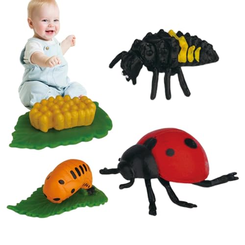 usefulbeauty Tierfiguren des Lebenszyklus | Modell des Lebenszyklus mit realistischen Figuren, Modell der Wachstumsstadion, Tierwachstumszyklus, Modellgeschenke usefulbeauty Tierfiguren des Lebenszyklus | Modell des Lebenszyklus mit realistischen Figuren, Modell der Wachstumsstadion, Tierwachstumszyklus, Modellgeschenke von usefulbeauty