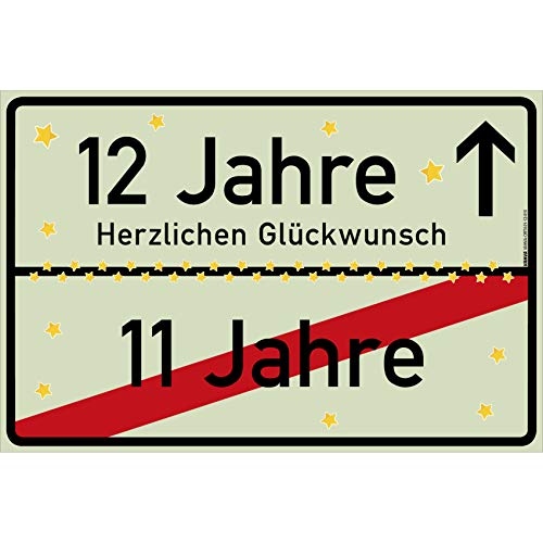 vanva 12 Jahre Geburtstag - Lustige Geschenke für den 12 Geburtstag Herzlichen Glückwunsch Geschenk für Tochter 12 Jahre Party Deko Geschenkideen für den 12 Geburtstag Hellgrün von vanva