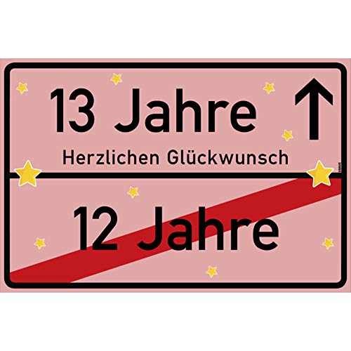 vanva 13 Jahre Party Deko Schild für den 13 Geburtstag Mädchen und Jungen Herzlichen Glückwunsch Spruch im Ortsschild Design Rosa von vanva