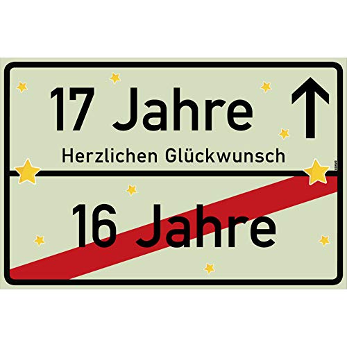 vanva 17 Jahre Geburtstag - Lustiges Geschenk für den 17. Geburtstag - Hellgrünes Dekoration Schild aus Kunststoff vanva 17 Jahre Geburtstag - Lustiges Geschenk für den 17. Geburtstag - Hellgrünes Dekoration Schild aus Kunststoff von vanva