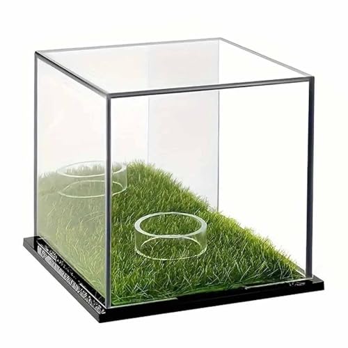 wisoolkic Klare Golfball Hülle, staubdichte Acryl Displaybox für Golf Sammler, Ball Display Hülle, Staub, Mehrzweck Acryl wisoolkic Klare Golfball Hülle, staubdichte Acryl Displaybox für Golf Sammler, Ball Display Hülle, Staub, Mehrzweck Acryl von wisoolkic
