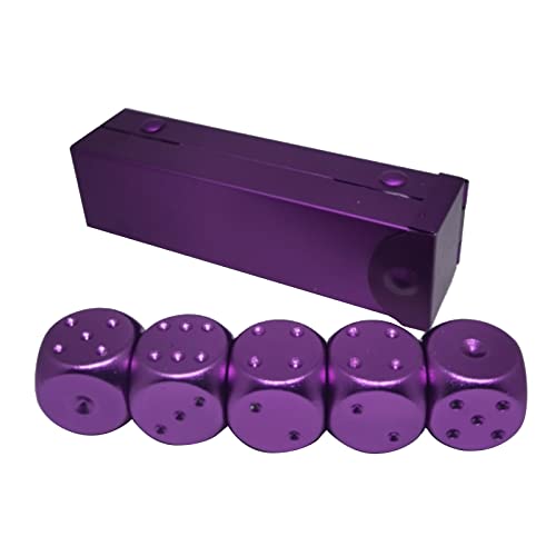 xbiez 5-teiliges tragbares 6-seitiges Würfel-Set, mehrfarbige Würfel mit Aufbewahrungsbox für Brettspiele, Silber/Gold/Grün/Rot/Blau/Violett von xbiez