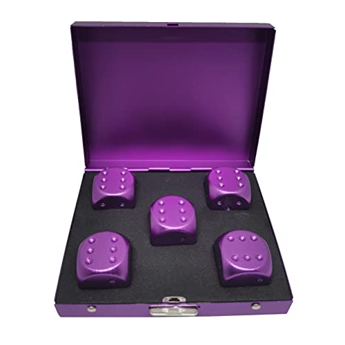 xbiez 5-teiliges tragbares 6-seitiges Würfel-Set, mehrfarbige Würfel mit Aufbewahrungsbox für Brettspiele, Silber/Gold/Grün/Rot/Blau/Violett von xbiez