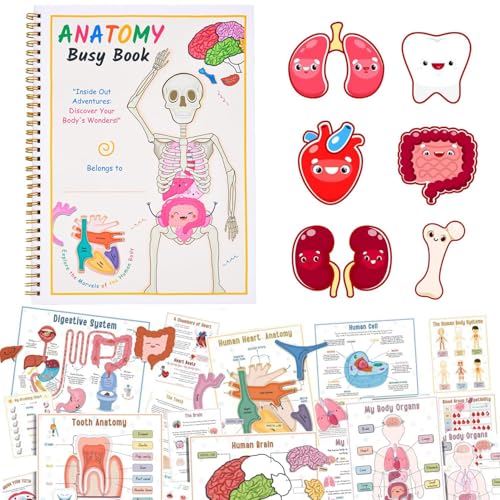 Anatomie des Menschen Beschäftigt Buch von xinrongda