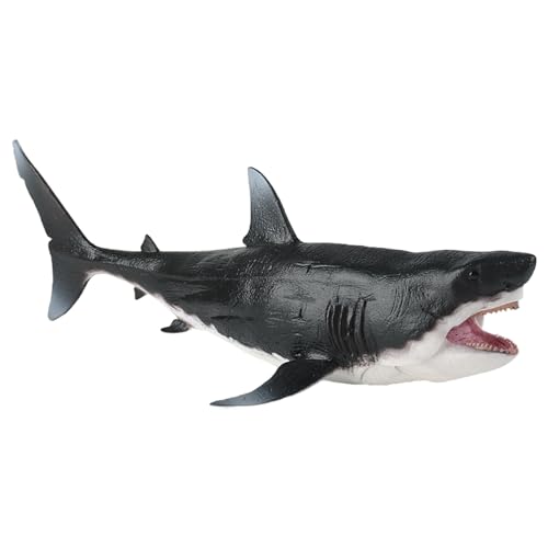 yakermur Hai-Figuren | detailliertes Modell – Lernspielzeug stimuliert die Phantasie, spielerische Aktivitäten für und Mädchen, Innendekoration für Wohnzimmer yakermur Hai-Figuren | detailliertes Modell – Lernspielzeug stimuliert die Phantasie, spielerische Aktivitäten für und Mädchen, Innendekoration für Wohnzimmer von yakermur