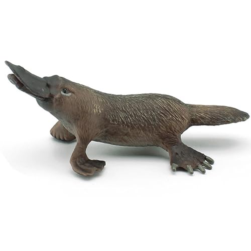 yakermur Schnabeltier Spielzeug,Realistische Schnabeltier-Spielzeugfigur | Simulierte Tiermodelle Schnabeltier, Schnabeltierspielzeug, Schnabeltierfigur Lernspielzeug für Mädchen und yakermur Schnabeltier Spielzeug,Realistische Schnabeltier-Spielzeugfigur | Simulierte Tiermodelle Schnabeltier, Schnabeltierspielzeug, Schnabeltierfigur Lernspielzeug für Mädchen und von yakermur