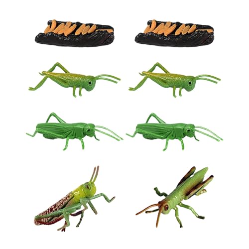 yakermur Vorschulwissenschaftsspielzeug, Wissenschaftsspielzeug für Kinder | Vorschule Science Kit Simuliertes Heuschreckenmodell - Small Animal Match Sets Locust Model für Kinder Mädchen von yakermur