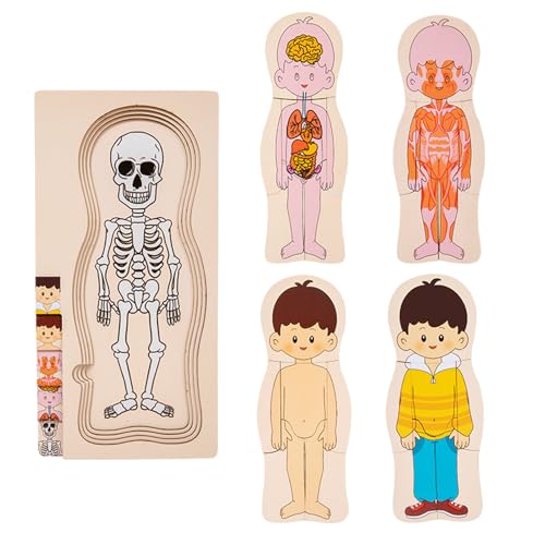 Anatomie Puzzle Holz – Body Teilpuzzle Mensch Körper Interaktives Lernspiel, Bildungsmodell | Skelettspielzeug und Puzzles für Kinder Lernen mit Klarer Körperstruktur Ideal für Lehren und Erkunden Anatomie Puzzle Holz – Body Teilpuzzle Mensch Körper Interaktives Lernspiel, Bildungsmodell | Skelettspielzeug und Puzzles für Kinder Lernen mit Klarer Körperstruktur Ideal für Lehren und Erkunden von ycezw