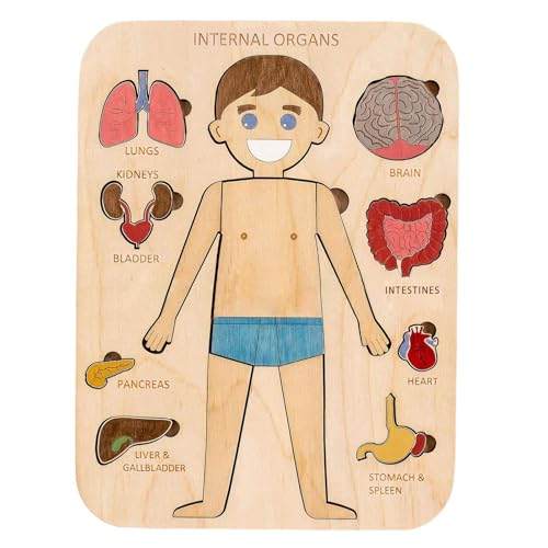 Puzzle des menschlichen Körpers - Interaktives Holzpuzzle mit Struktur des menschlichen Körpers | Lernpuzzle von Körperteilen für montesori Lernen und Entwicklung von Kindern im Vorschulalter, pu Puzzle des menschlichen Körpers - Interaktives Holzpuzzle mit Struktur des menschlichen Körpers | Lernpuzzle von Körperteilen für montesori Lernen und Entwicklung von Kindern im Vorschulalter, pu von ycezw