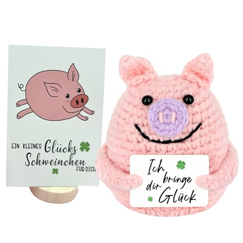 ysister Positive Geschenke Schwein Hug,Pocket Hug Glücksschweinchen Mit Ermutigungskarten Geschenke Für Familie und Freunde, Mini Pocket Hug Positivemit 1 Glücksbringer Abi Geschenke von ysister