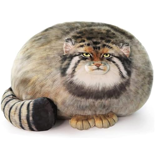 zingking 40 cm großes Katzen-Plüsch-Kissen, niedliche Steppe-Katze, gefüllte Tiere, Dicke Katze, Kawaii-Kissen, Kätzchen, Plüschkissen, Puppe, großes Plüschspielzeug, Jungen, Freundin von zingking