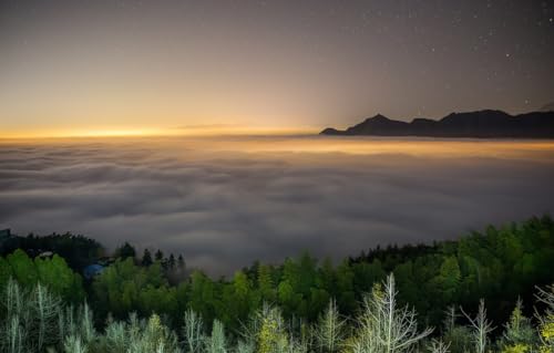 1000-teiliges, niedliches Premium-Puzzle – jedes Teil ist ein Unikat – anspruchsvolles Familienspiel für Erwachsene, Berge, Bäume, Landschaft, 50 x 70 cm von znwrr