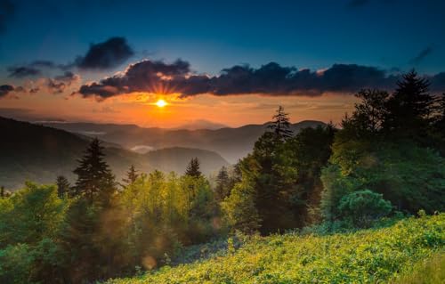 1000-teiliges Puzzle für Erwachsene, 1000-teiliges Puzzle für Erwachsene, schwierig und herausfordernd, USA, North Carolina, Mount Mitchell, 26 x 38 cm von znwrr