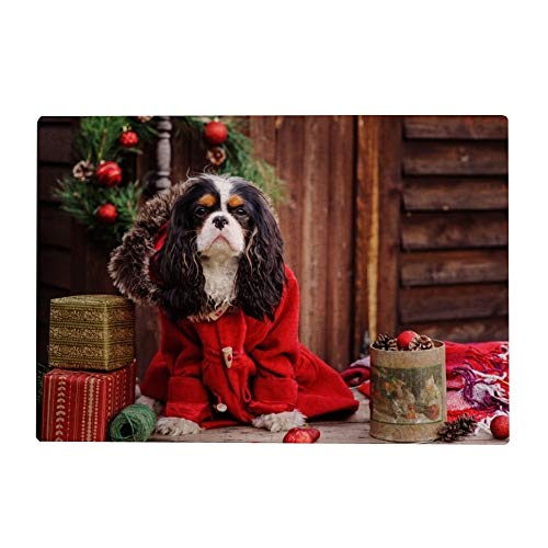 1000-teiliges Puzzle für Erwachsene – Cavalier King Charles Spaniel Hund 50x70CM von znwrr