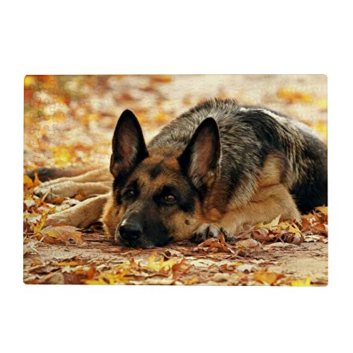 1000-teiliges Puzzle für Erwachsene – Deutscher Schäferhund, 26 x 38 cm von znwrr