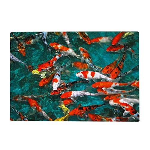 1000-teiliges Puzzle für Erwachsene – Koi-Karpfen, Fisch, 26 x 38 cm von znwrr