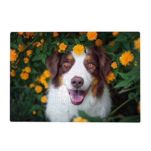 2000-teiliges Puzzle für Erwachsene – Australischer Schäferhund mit Blumen, 70 x 100 cm von znwrr