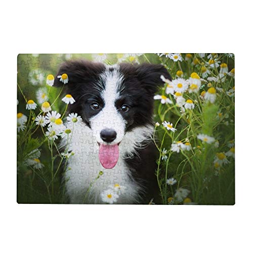 2000-teiliges Puzzle für Erwachsene – Border-Collie-Hund, Kamillenblüten, 70 x 100 cm von znwrr