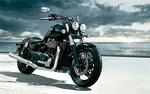 Erwachsene 1000 Teile Motorrad Triumph Storm Puzzle Spiele Home Decor 50x70CM von znwrr