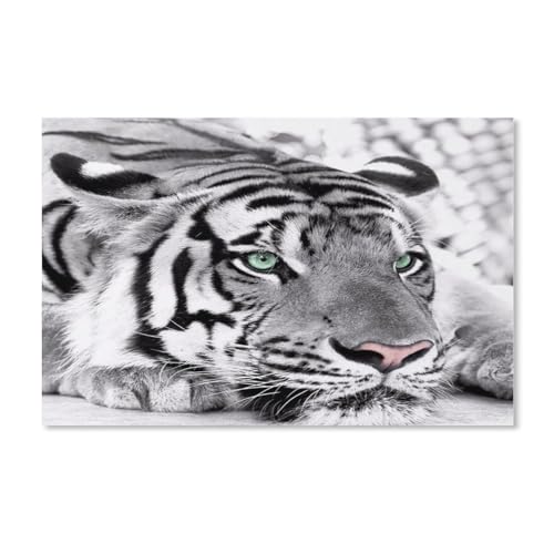 Puzzle 1000 Teile für Erwachsene, weißer Tiger, Teenager, Jungen, Mädchen, schwieriges, herausforderndes Puzzle für Gesellschaftsspiele, Kinder, Familie, Freunde, 50 x 70 cm von znwrr