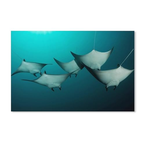 Puzzle 2000 Teile,Stingray Manta Ray,Klassisches Puzzle für Erwachsene, DIY-Kit, Papierspielzeug, einzigartiges Geschenk, Moderne Heimdekoration, 70 x 100 cm von znwrr