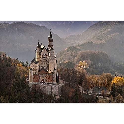 Puzzle Schloss Neuschwanstein, Dekompressionspädagogisches intellektuelles Eltern-Kind-Spiel, 1000 50x70CM von znwrr