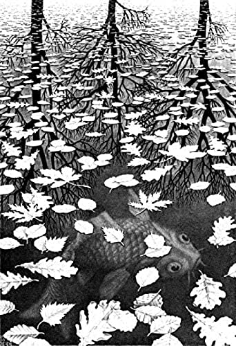 Puzzle für Erwachsene, 2000 Teile, Escher Three Worlds Giclée-Puzzle für Erwachsene, 2000 Teile, anspruchsvolles Puzzlespiel, 70 x 100 cm von znwrr