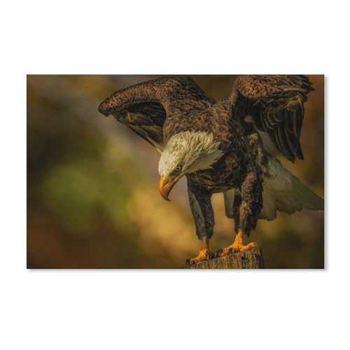 Puzzles für Erwachsene, 1000 Teile, für Erwachsene und Kinder, Motiv: Weißkopfseeadler, Kunstwerk, intellektuelles Lernspielzeug, Geschenke, 38 x 52 cm von znwrr