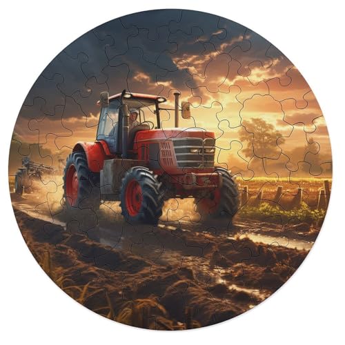 68 teiliges Puzzle Lernspiele Traktor Anbaugeräte Puzzles für Erwachsene runde Holzpuzzles Puzzles für Kinder Geschenke 20 x 20 cm von zouxangzz