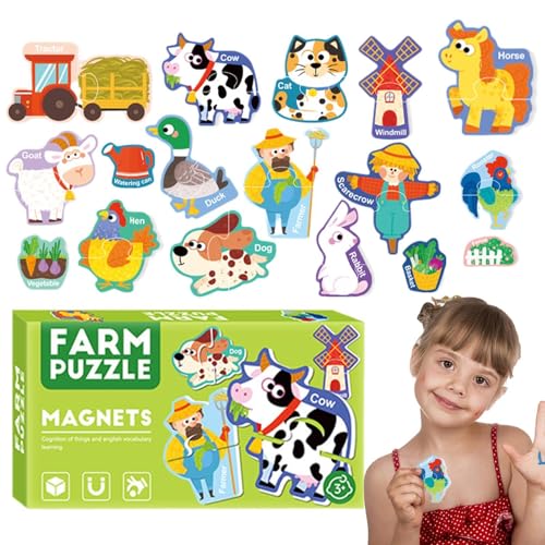 Magnetische Puzzles, pädagogisches Lernspielzeug, bunte Magnete für Kinder, lustige Lernspiele, interaktive Lernwerkzeuge, STEM-Spielzeug für Kinder, kreative Spielaktivitäten von zwxqe