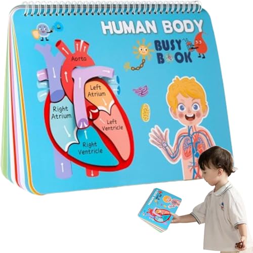 zwxqe Human Body Anatomy Busy Book, Interactive Anatomy Facts for Kids, Engaging Kindergarten Activities Anatomy Book for Children and, Perfect Educational Tool for Family Learning von zwxqe